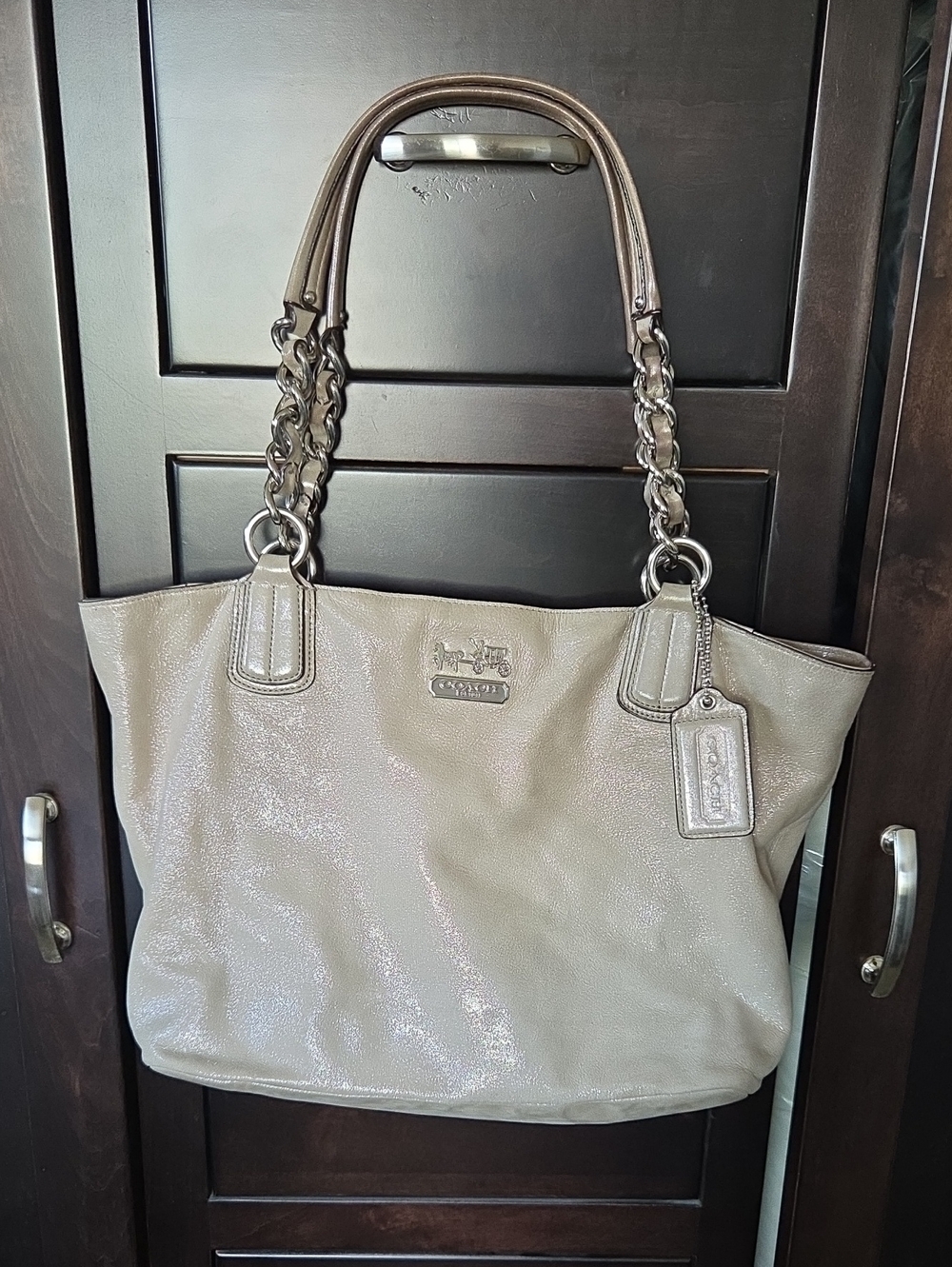 Coach Chelsea Metallic Platinum Leather Chain East West Tote Bag - 18694